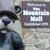 Mini-vaca-stay in Gatlinburg