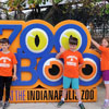 Zoo Field Trip 2023